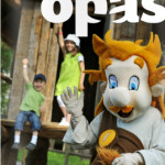 EPopas2014_kansi